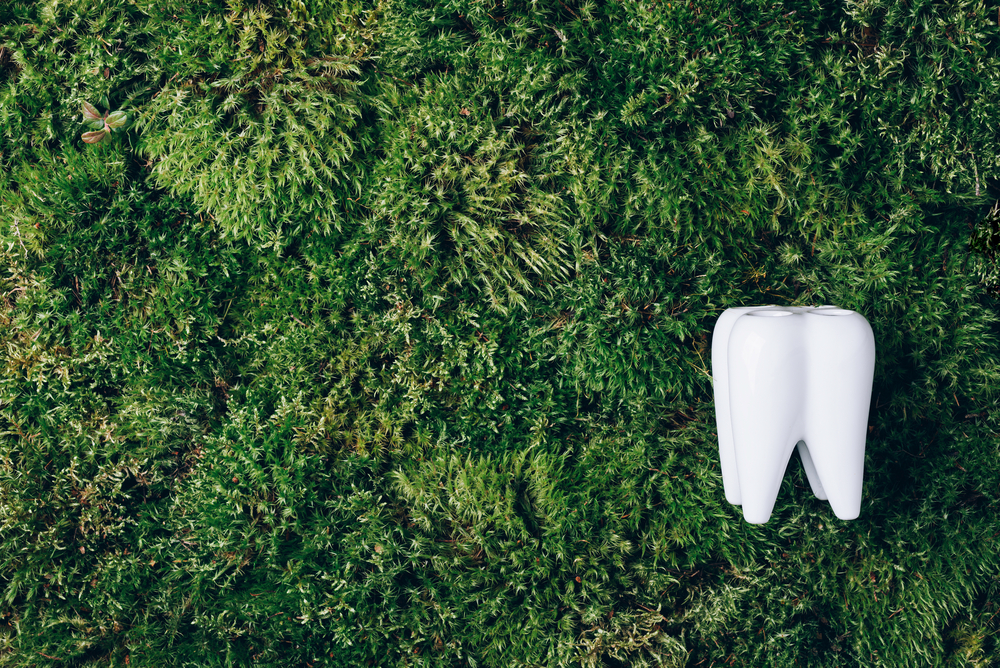 natural holistic dentist representation with grass and tooth